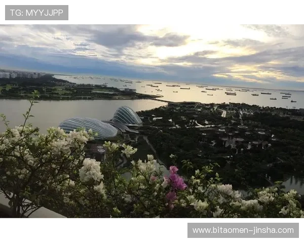 金沙中國地址位置圖解，幫助遊客快速掌握周邊環境與交通路線