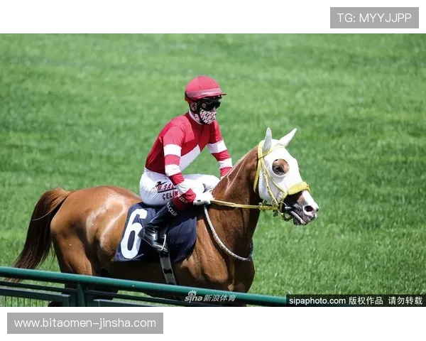 澳门赛马今天比赛结果实时更新，精彩瞬间回放及赛马成绩分析全方位呈现